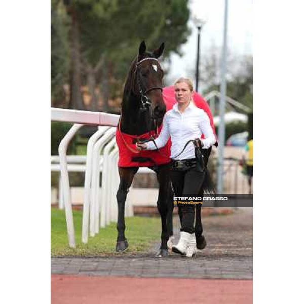 Cartaya parades before the Premio Longines Lydia Tesio Roma - Capannelle racecourse,28th oct.2012 ph.Stefano Grasso