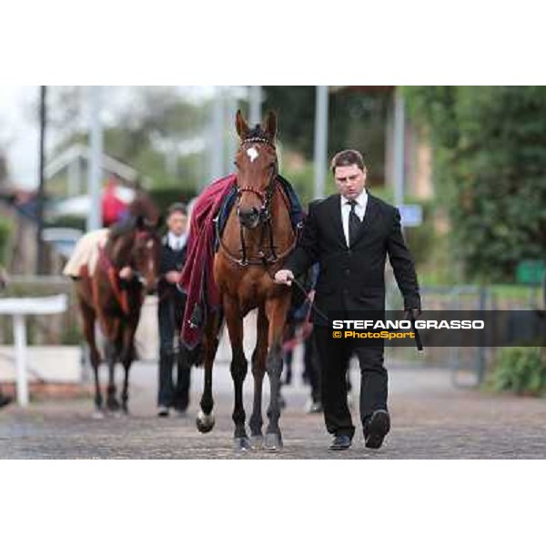 Sortilege parades before the Premio Longines Lydia Tesio Roma - Capannelle racecourse,28th oct.2012 ph.Stefano Grasso