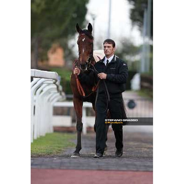 Quiza Quiza Quiza parades before the Premio Longines Lydia Tesio Roma - Capannelle racecourse,28th oct.2012 ph.Stefano Grasso