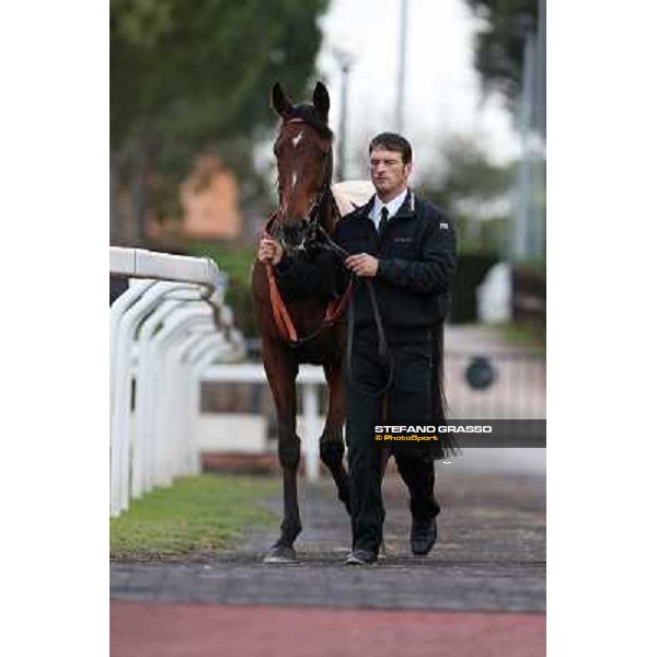 Quiza Quiza Quiza parades before the Premio Longines Lydia Tesio Roma - Capannelle racecourse,28th oct.2012 ph.Stefano Grasso