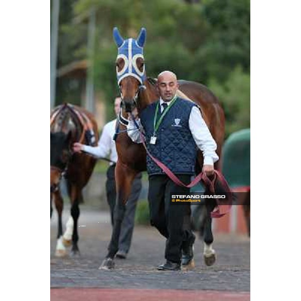 Oeuvre d\'Art parades before the Premio Longines Lydia Tesio Roma - Capannelle racecourse,28th oct.2012 ph.Stefano Grasso
