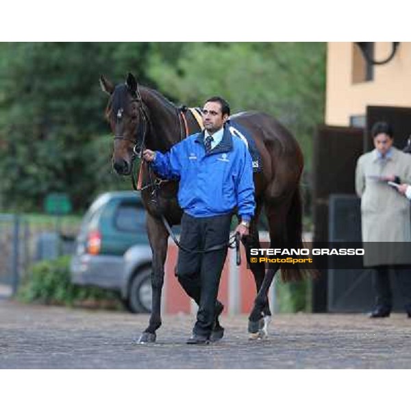 Sajjhaa parades before the Premio Longines Lydia Tesio Roma - Capannelle racecourse,28th oct.2012 ph.Stefano Grasso