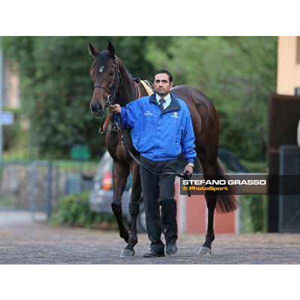 Sajjhaa parades before the Premio Longines Lydia Tesio Roma - Capannelle racecourse,28th oct.2012 ph.Stefano Grasso