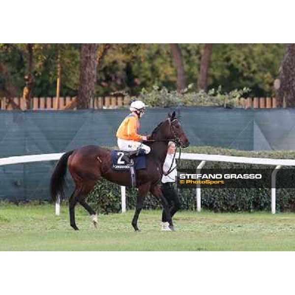 Jamie Spencer on Cartaya goes to the start of the Premio Longines Lydia Tesio Roma - Capannelle racecourse,28th oct.2012 ph.Stefano Grasso