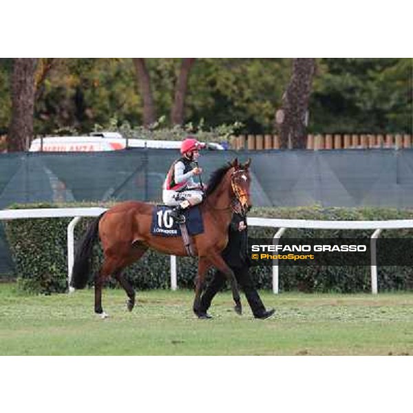 Andrea Atzeni on Sortilege goes to the start of the Premio Longines Lydia Tesio Roma - Capannelle racecourse,28th oct.2012 ph.Stefano Grasso