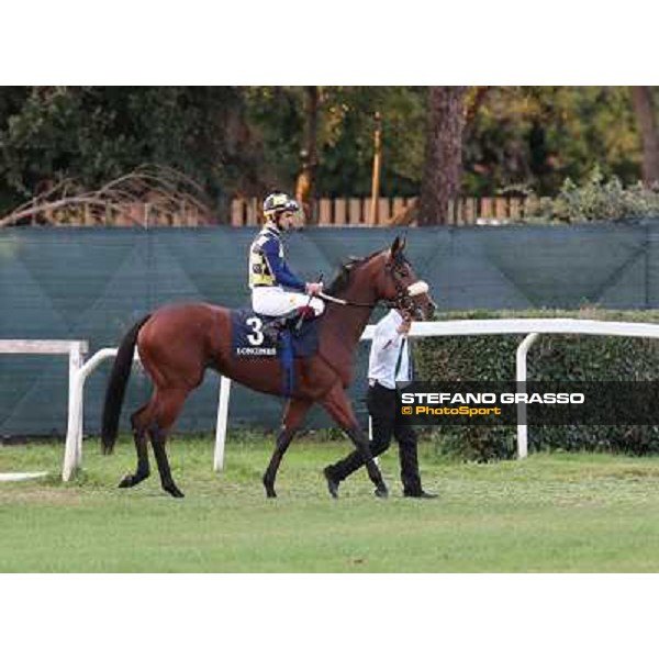 Fabio Branca on Cherry Collect goes to the start of the Premio Longines Lydia Tesio Roma - Capannelle racecourse,28th oct.2012 ph.Stefano Grasso