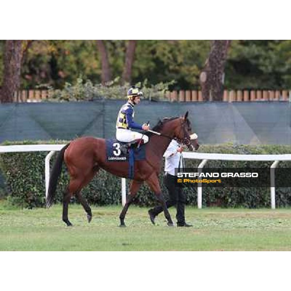 Fabio Branca on Cherry Collect goes to the start of the Premio Longines Lydia Tesio Roma - Capannelle racecourse,28th oct.2012 ph.Stefano Grasso