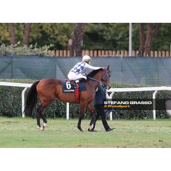 Cristian Demuro on Oeuvre d\'Art goes to the start of the Premio Longines Lydia Tesio Roma - Capannelle racecourse,28th oct.2012 ph.Stefano Grasso