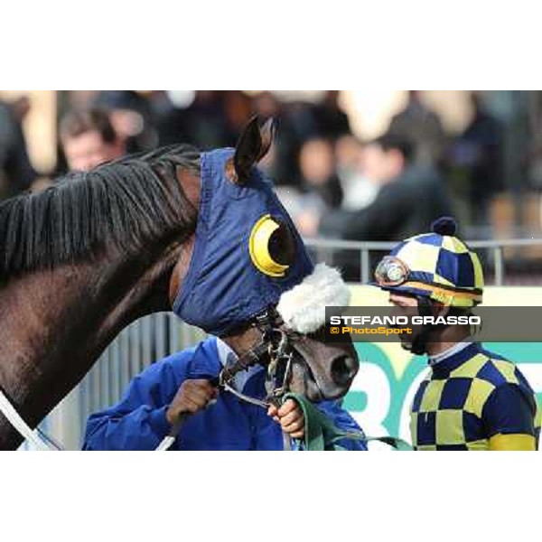 Bit of Hell Roma - Capannelle racecourse,28th oct.2012 ph.Stefano Grasso