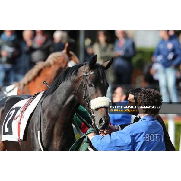 Bit of Hell Roma - Capannelle racecourse,28th oct.2012 ph.Stefano Grasso