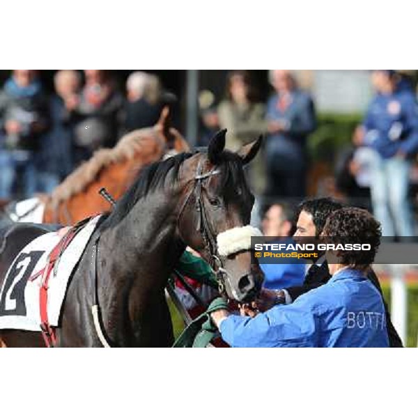 Bit of Hell Roma - Capannelle racecourse,28th oct.2012 ph.Stefano Grasso