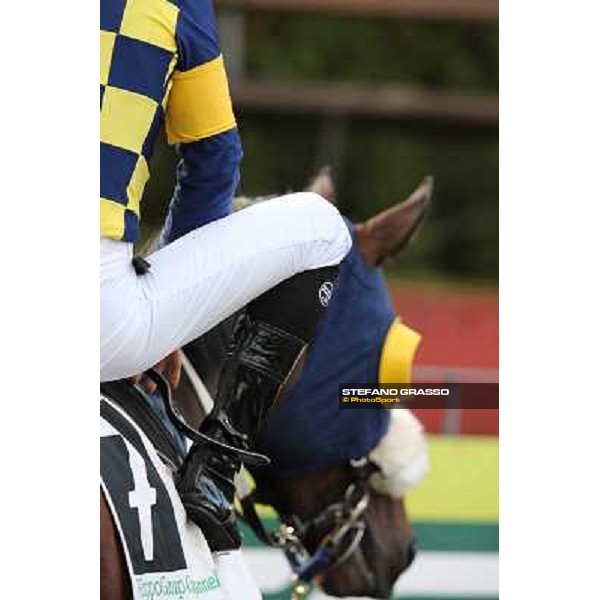 Bit of Hell Roma - Capannelle racecourse,28th oct.2012 ph.Stefano Grasso