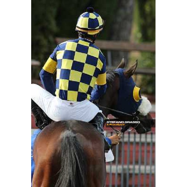Bit of Hell Roma - Capannelle racecourse,28th oct.2012 ph.Stefano Grasso