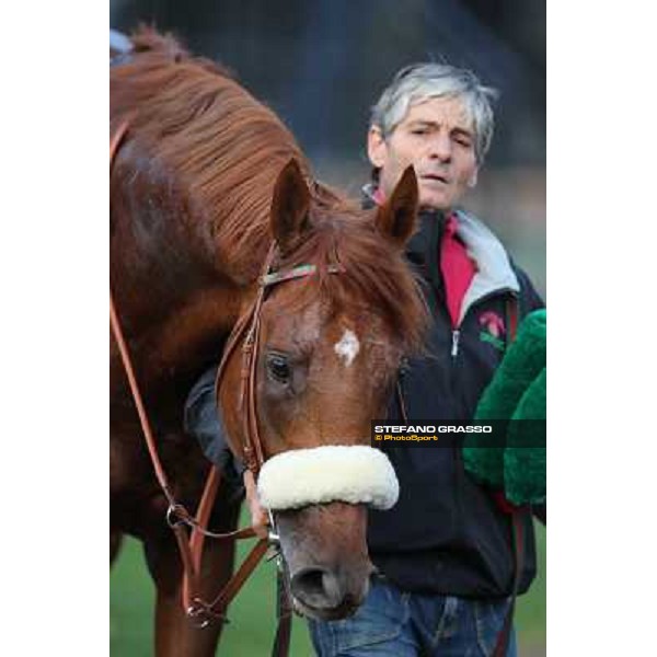 Benvenue parades after winning the Premio Conte Felice Scheibler Roma - Capannelle racecourse,28th oct.2012 ph.Stefano Grasso