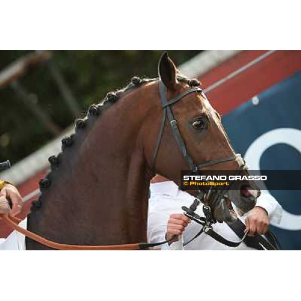 Blue Barak Roma - Capannelle racecourse,28th oct.2012 ph.Stefano Grasso