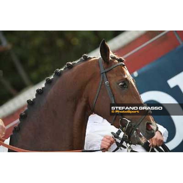Blue Barak Roma - Capannelle racecourse,28th oct.2012 ph.Stefano Grasso