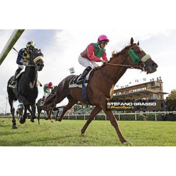 Pierantonio Convertino on Bernvenue wins the Premio Conte Felice Scheibler Roma - Capannelle racecourse,28th oct.2012 ph.Stefano Grasso