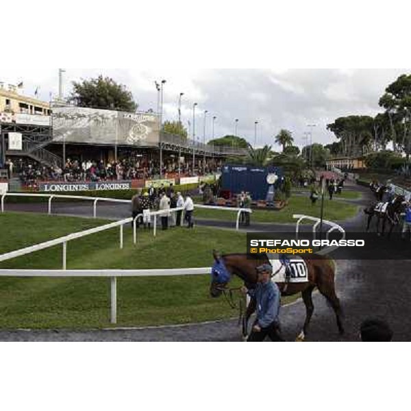 The paddock Roma - Capannelle racecourse,28th oct.2012 ph.Stefano Grasso