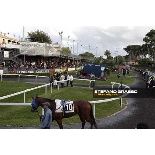 The paddock Roma - Capannelle racecourse,28th oct.2012 ph.Stefano Grasso