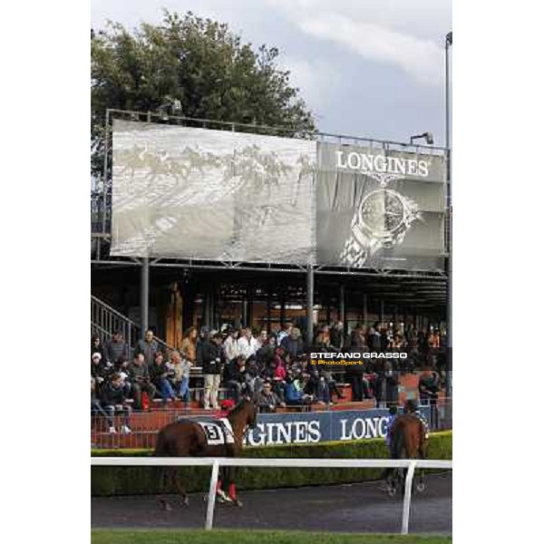 Roma - Capannelle racecourse,28th oct.2012 ph.Stefano Grasso