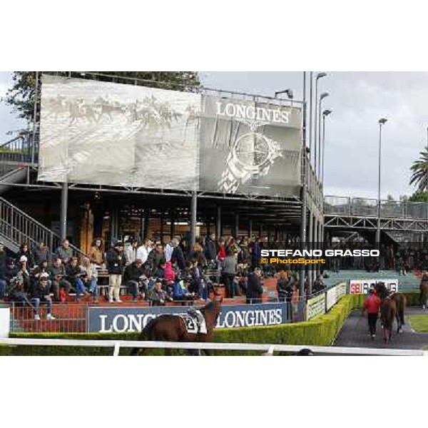 Roma - Capannelle racecourse,28th oct.2012 ph.Stefano Grasso
