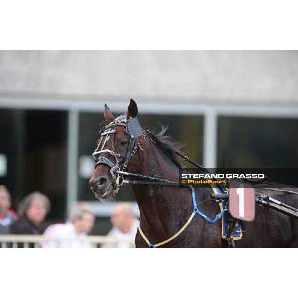 Mack Grace Sm Rome-Tordivalle racecourse,27th oct.2012 ph.Stefano Grasso