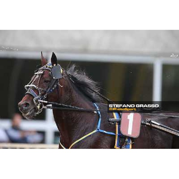 Mack Grace Sm Rome-Tordivalle racecourse,27th oct.2012 ph.Stefano Grasso