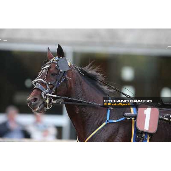 Mack Grace Sm Rome-Tordivalle racecourse,27th oct.2012 ph.Stefano Grasso