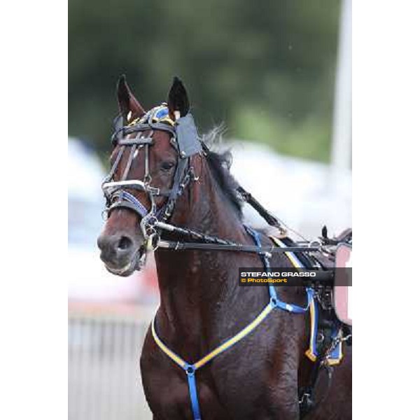 Mack Grace Sm Rome-Tordivalle racecourse,27th oct.2012 ph.Stefano Grasso
