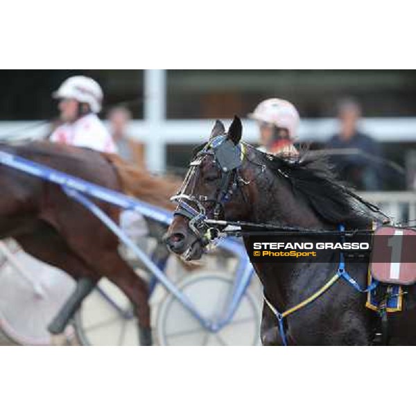 Mack Grace Sm Rome-Tordivalle racecourse,27th oct.2012 ph.Stefano Grasso