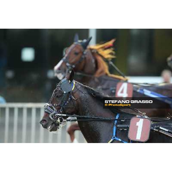Mack Grace Sm and Nesta Effe Rome-Tordivalle racecourse,27th oct.2012 ph.Stefano Grasso