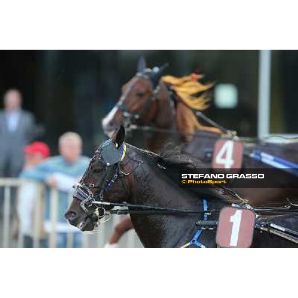 Mack Grace Sm and Nesta Effe Rome-Tordivalle racecourse,27th oct.2012 ph.Stefano Grasso