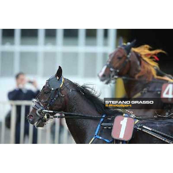 Mack Grace Sm and Nesta Effe Rome-Tordivalle racecourse,27th oct.2012 ph.Stefano Grasso