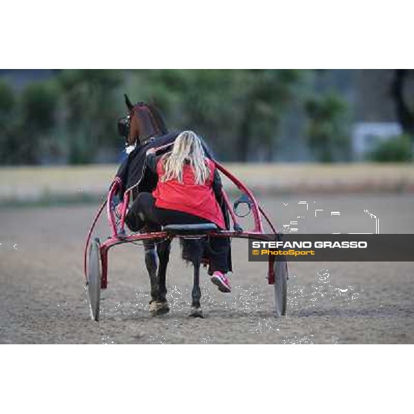 Looney Tunes returns home after winning the Gran Premio Freccia d\'Europa Rome-Tordivalle racecourse,27th oct.2012 ph.Stefano Grasso