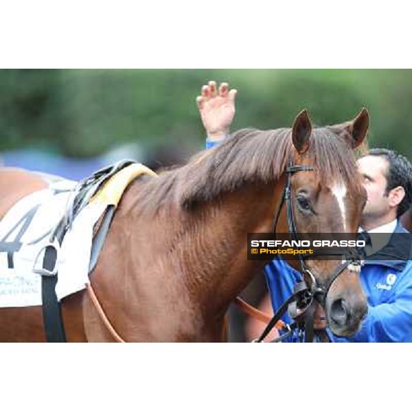 Silvestre De Sousa and Hunter\'s Light win the Gran Premio Roma GBI Racing Rome, Capannelle racecourse 4th november 2012 ph.Stefano Grasso