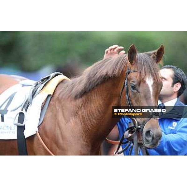 Silvestre De Sousa and Hunter\'s Light win the Gran Premio Roma GBI Racing Rome, Capannelle racecourse 4th november 2012 ph.Stefano Grasso