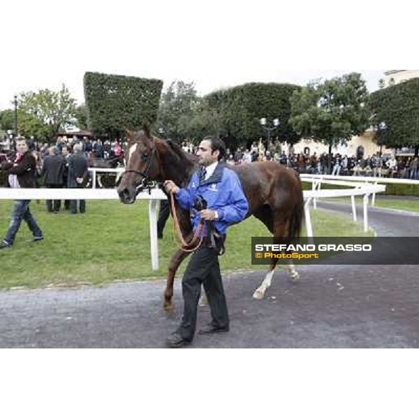 Silvestre De Sousa and Hunter\'s Light win the Gran Premio Roma GBI Racing Rome, Capannelle racecourse 4th november 2012 ph.Stefano Grasso