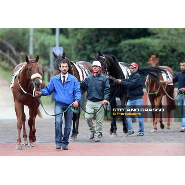 The horses exit the paddock going to the track Rome- Capannelle racecourse,4th nov.2012 ph.Stefano Grasso