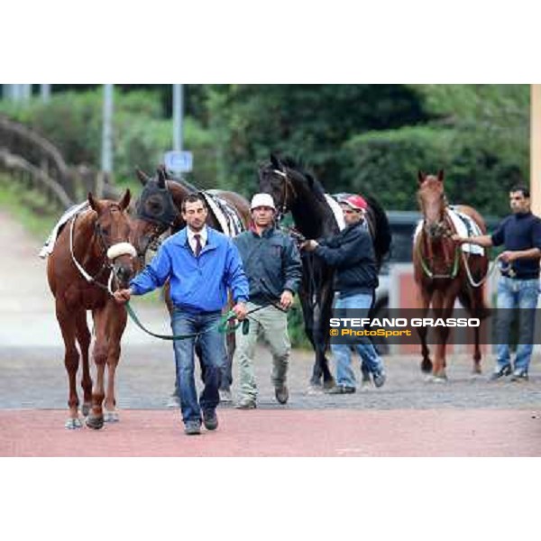 The horses exit the paddock going to the track Rome- Capannelle racecourse,4th nov.2012 ph.Stefano Grasso