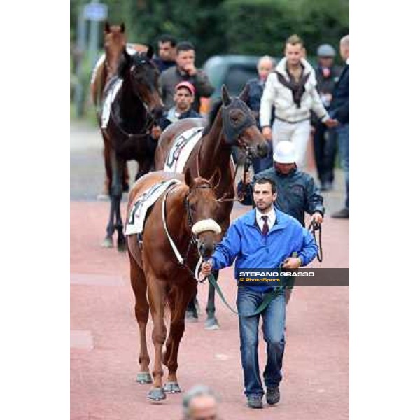 The horses exit the paddock going to the track Rome- Capannelle racecourse,4th nov.2012 ph.Stefano Grasso
