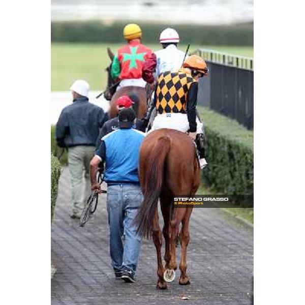 The horses exit the paddock going to the track Rome- Capannelle racecourse,4th nov.2012 ph.Stefano Grasso