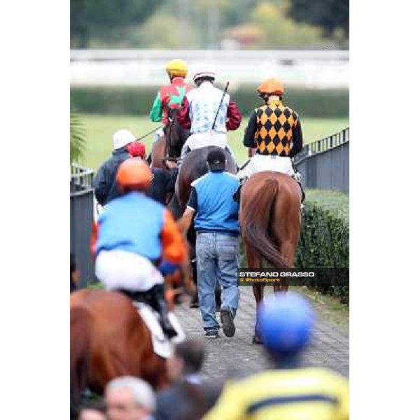 The horses exit the paddock going to the track Rome- Capannelle racecourse,4th nov.2012 ph.Stefano Grasso