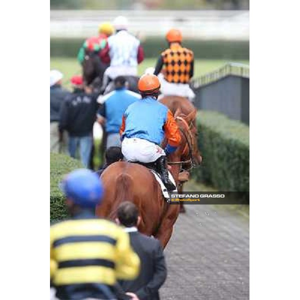 The horses exit the paddock going to the track Rome- Capannelle racecourse,4th nov.2012 ph.Stefano Grasso