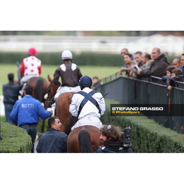 The horses enter the track Rome- Capannelle racecourse,4th nov.2012 ph.Stefano Grasso