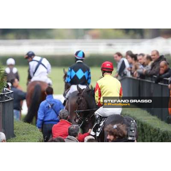 The horses enter the track Rome- Capannelle racecourse,4th nov.2012 ph.Stefano Grasso