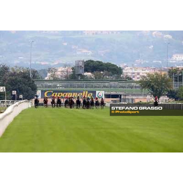 The straight of Premio Erice Rome- Capannelle racecourse,4th nov.2012 ph.Stefano Grasso