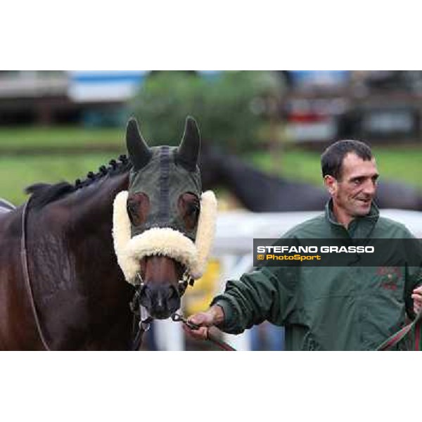 Occhio della Mente Rome- Capannelle racecourse,4th nov.2012 ph.Stefano Grasso