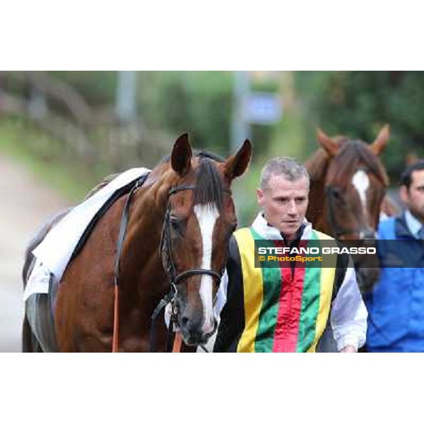 Durban Thunder Rome- Capannelle racecourse,4th nov.2012 ph.Stefano Grasso