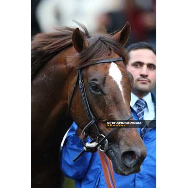Hunter\'s Light parades after winning the Gran Premio Roma GBI Racing Rome- Capannelle racecourse,4th nov.2012 ph.Stefano Grasso