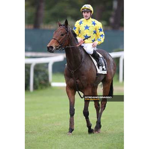 Stephane Pasquier on King Air after winning the Premio Ribot Rome- Capannelle racecourse,4th nov.2012 ph.Stefano Grasso